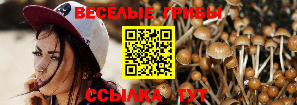 Галлюциногенные грибы прущие грибы  Вход с VPN  Йошкар-Ола 